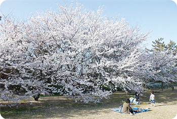 山の下海浜公園